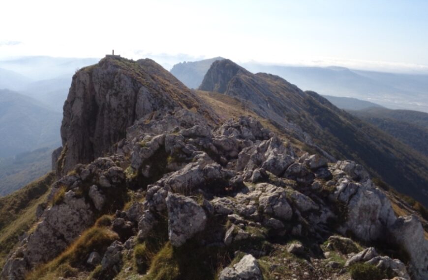 Desplazamiento a Vitoria y actividades en los Montes Vascos